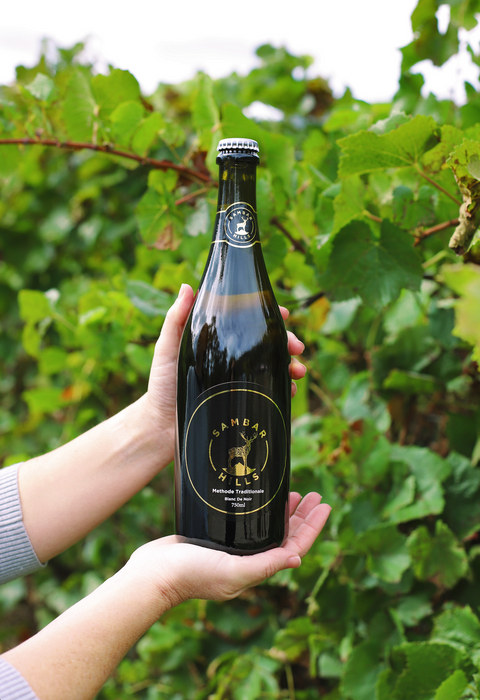Coming soon... Blanc de Noir!